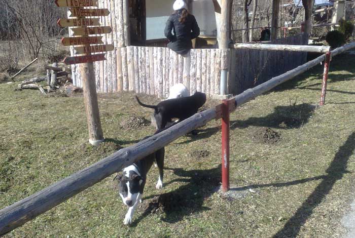 12022011736.jpg