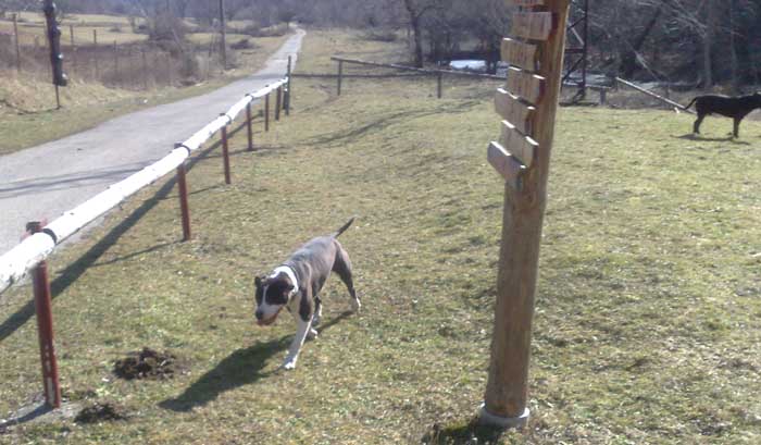 12022011738.jpg