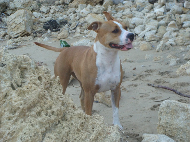 DSC03395.jpg