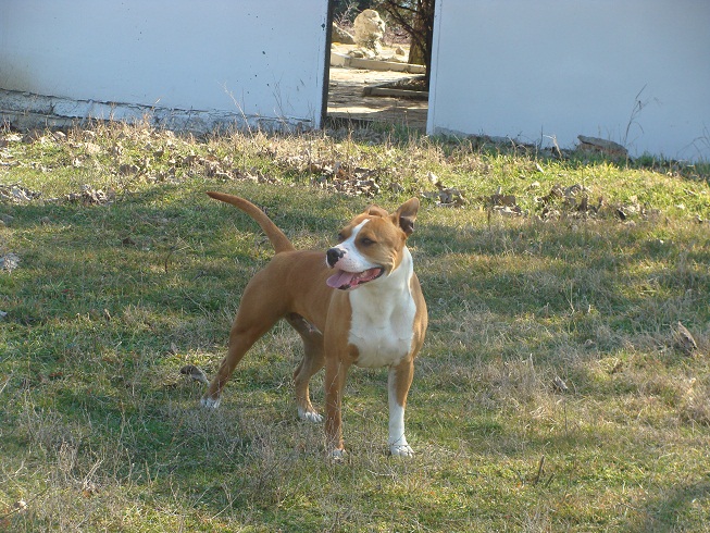 DSC06845.jpg