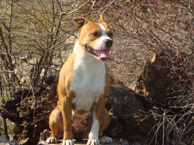 DSC06852.jpg
