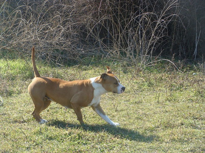 DSC06865.jpg