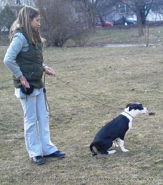 11032011282.JPG