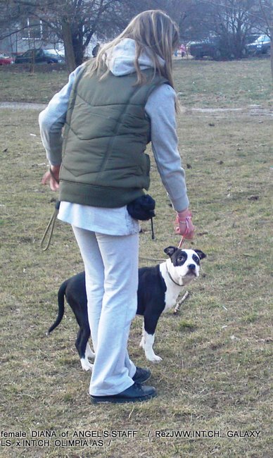11032011283.JPG