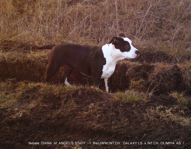11032011294.JPG