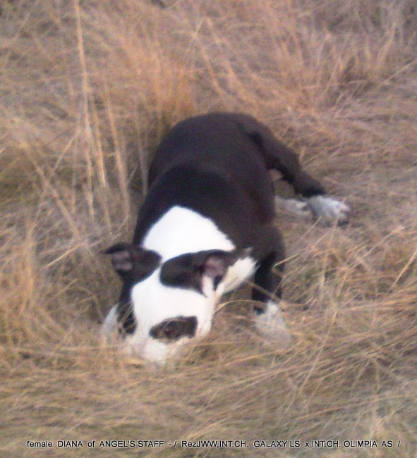 11032011318.JPG