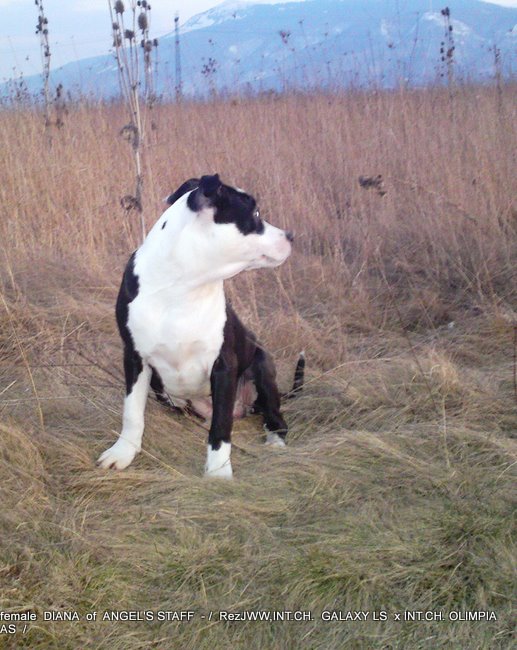 11032011326.JPG