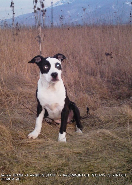 11032011327.JPG