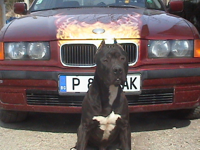 p_14742862.jpg
