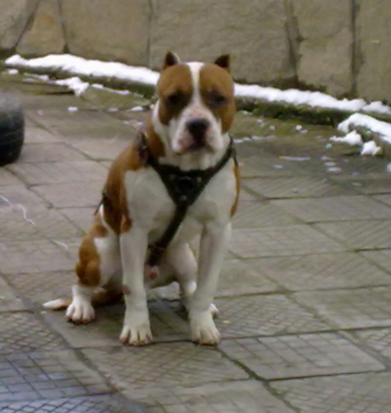 p_12551057.jpg