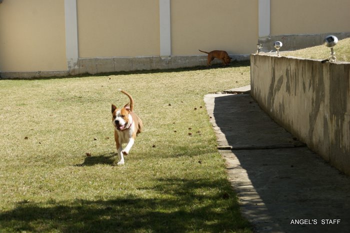 DSC01726.JPG