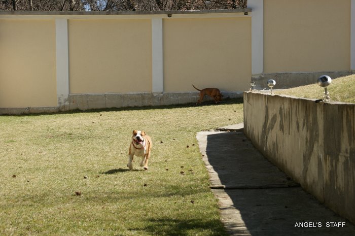 DSC01725.JPG