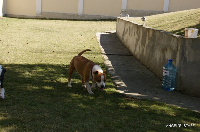 DSC01748.JPG
