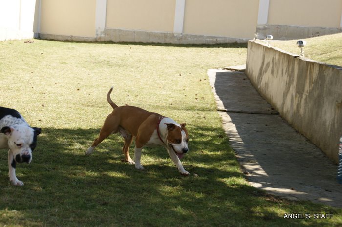 DSC01747.JPG