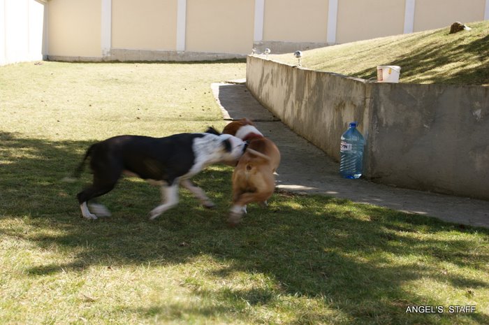 DSC01742.JPG