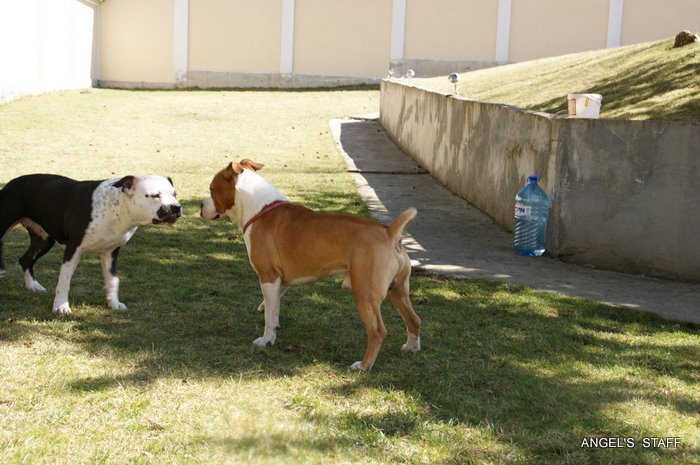 DSC01741.JPG