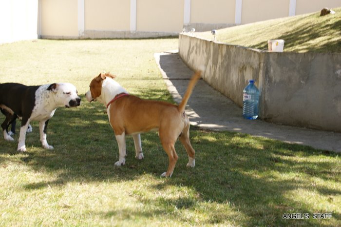 DSC01740.JPG
