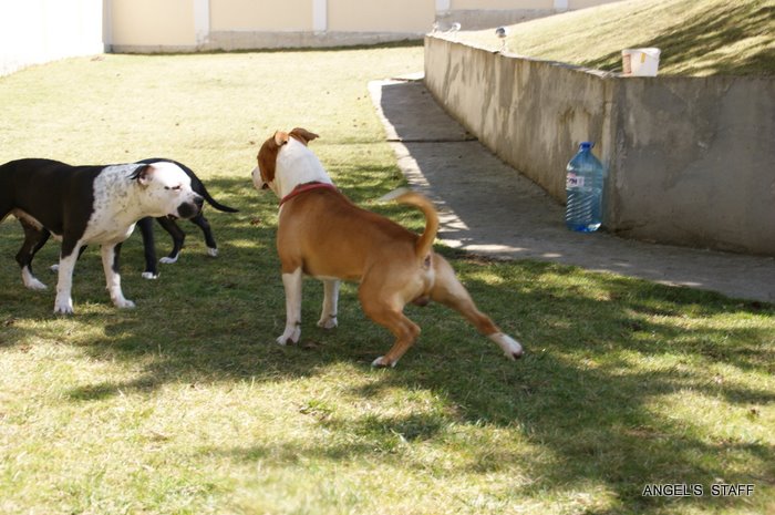 DSC01739.JPG