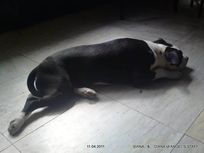 09042011822.JPG