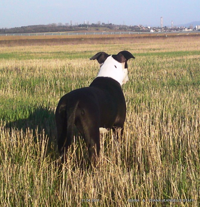 09042011924.JPG