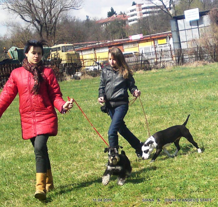 10042011023.JPG