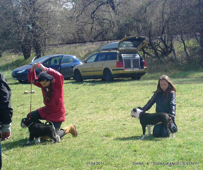 10042011031.JPG