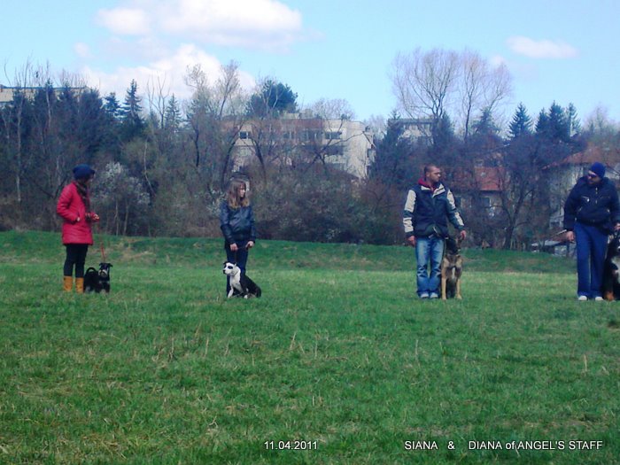 10042011076.JPG