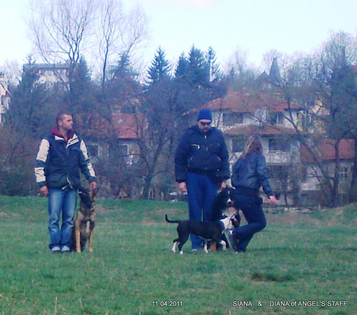 10042011082.JPG