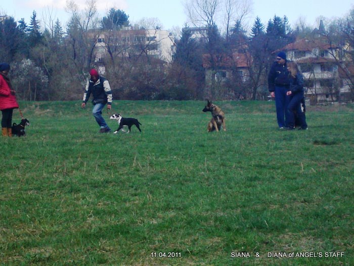 10042011087.JPG