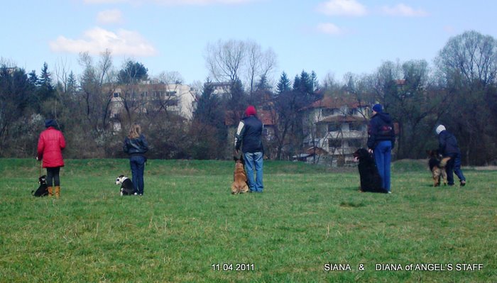 10042011095.JPG