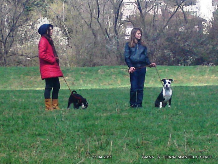 10042011100.JPG