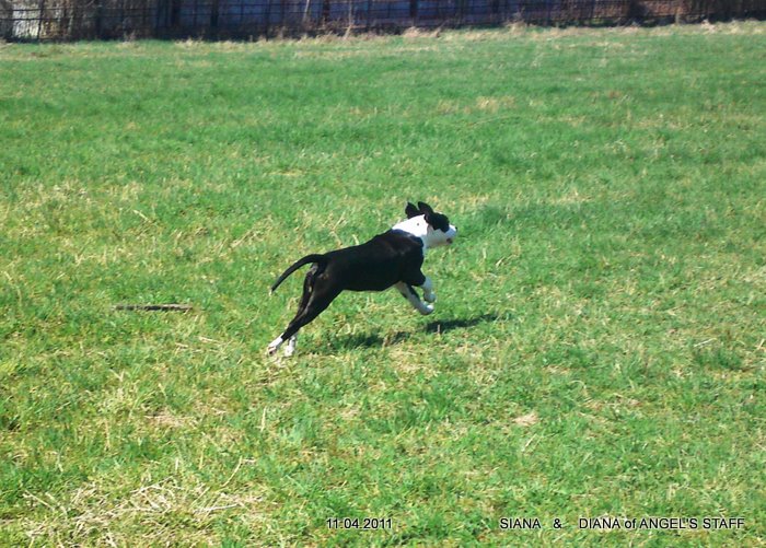 10042011167.JPG