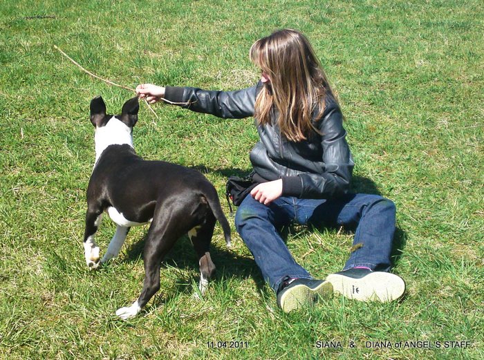 10042011190.JPG