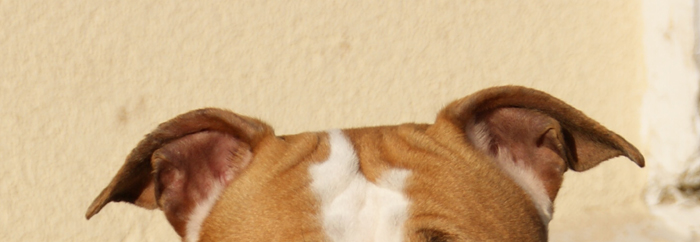 DSC00523.jpg