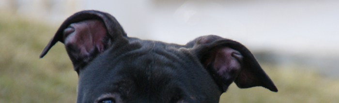 DSC01438.jpg