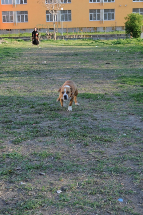 _DSC0020.JPG