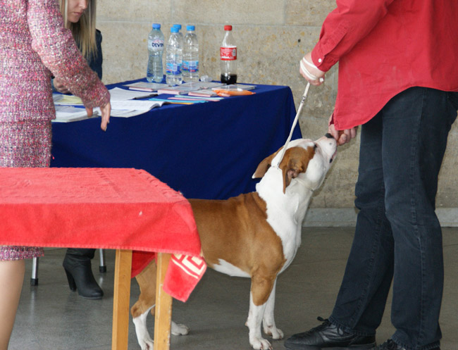 DSC03114.jpg