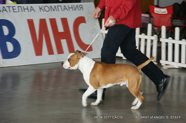 DSC03111.JPG