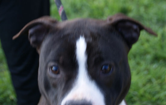 DSC03672.jpg