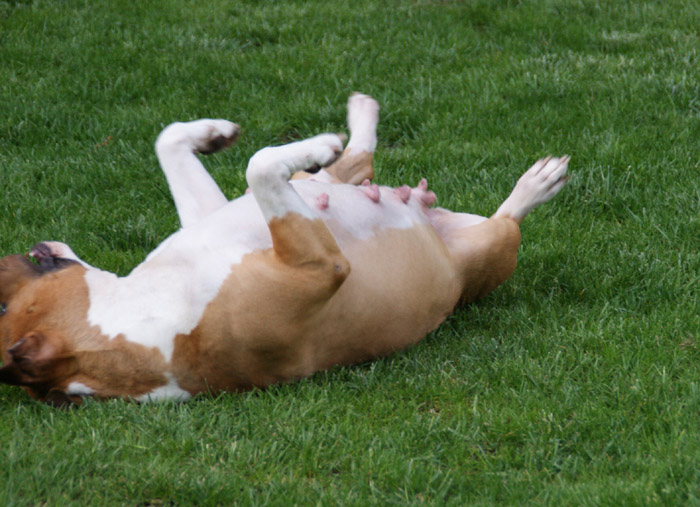 700 DSC03958.jpg