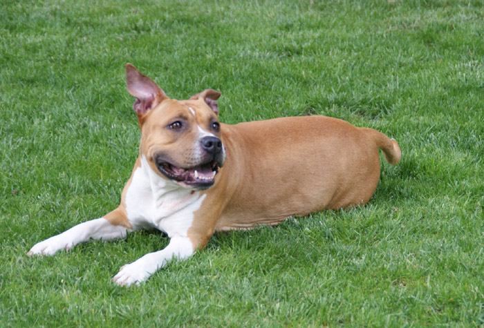 700 DSC03962.jpg