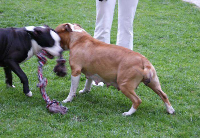 700 DSC03963.jpg