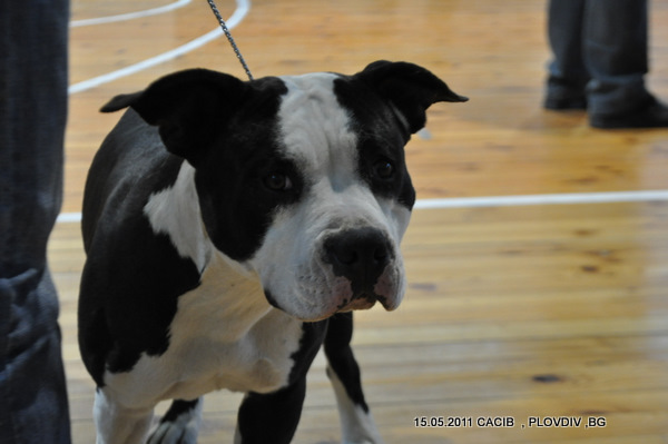 DSC_0363.JPG