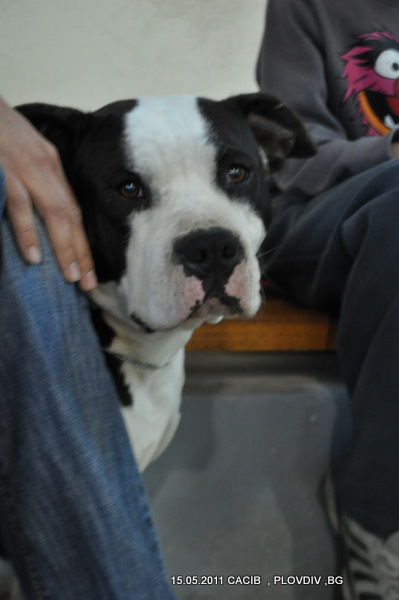 DSC_0127.JPG