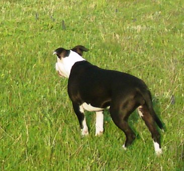19052011041.JPG