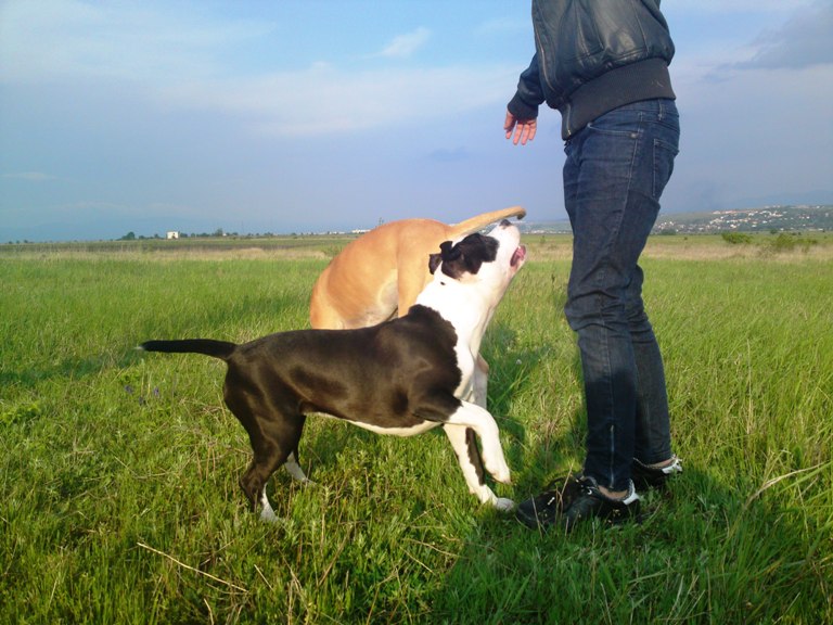 19052011059.JPG