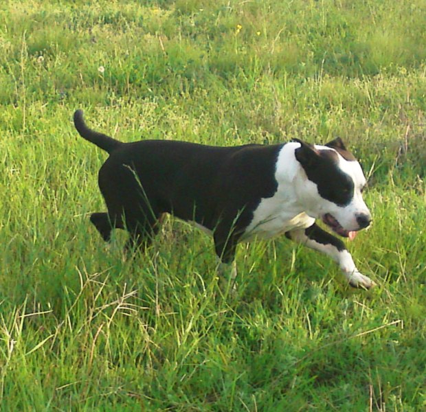 19052011078.JPG