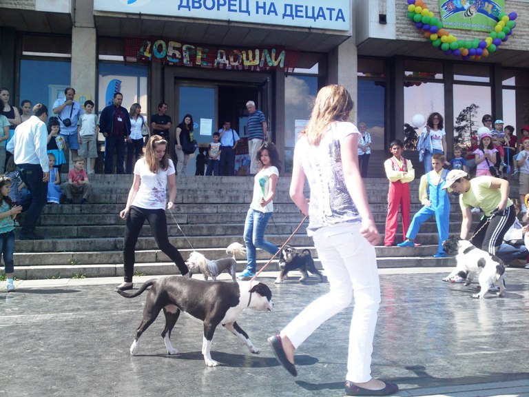 01062011316.JPG