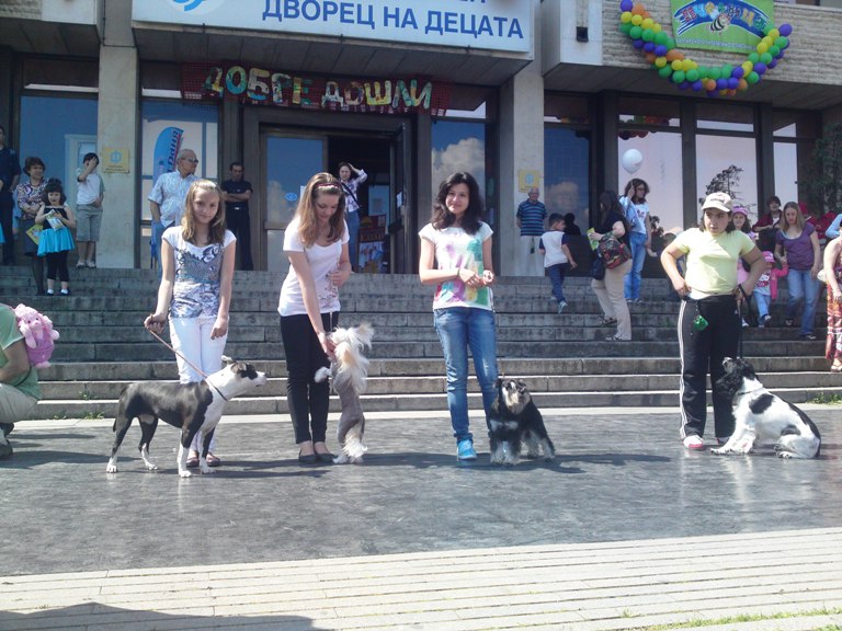01062011305.JPG