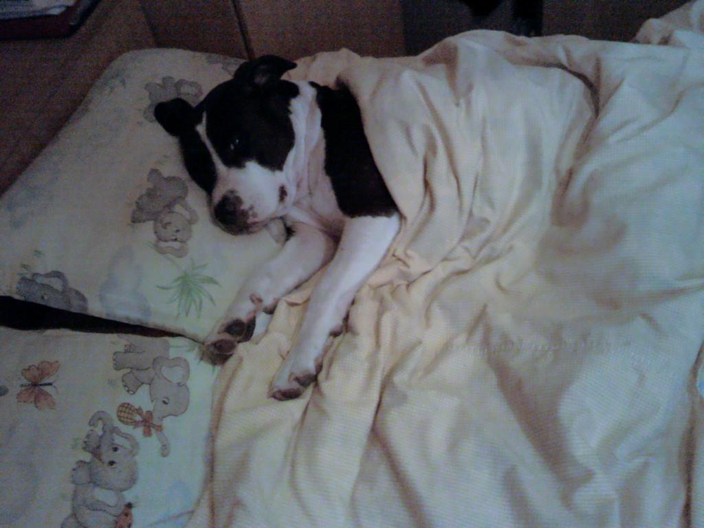 2011-06-28 16.10.59.jpg